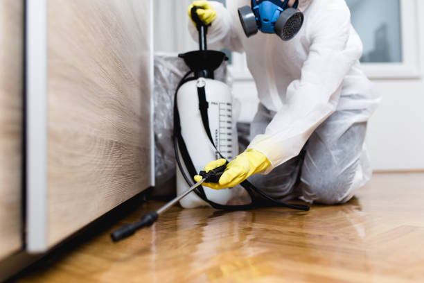 Best Pest Prevention Services  in Colfax, IL