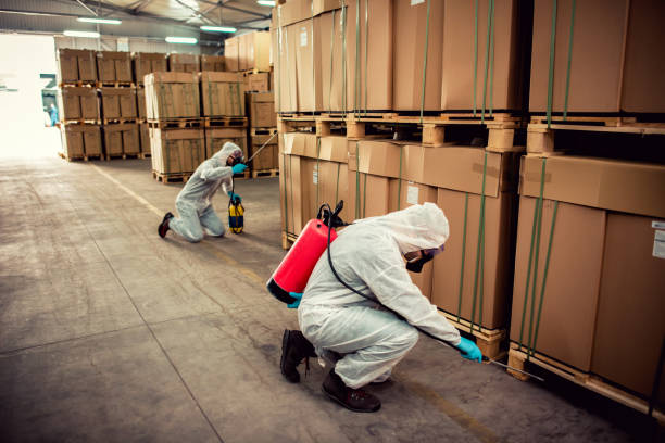 Best Flea Control Services  in Colfax, IL