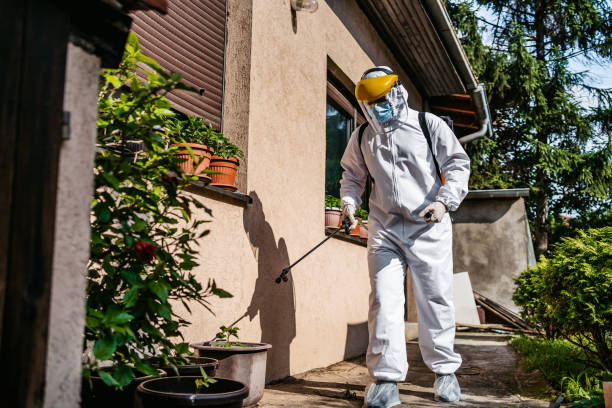 Best Wildlife Control Services  in Colfax, IL