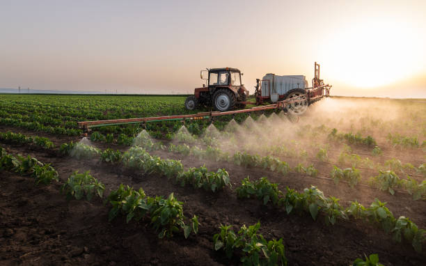 Best Mosquito Control Services  in Colfax, IL