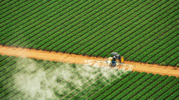 Best Pest Inspection Near Me  in Colfax, IL