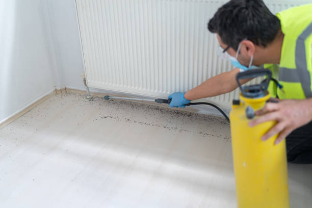 Best Ant Control Services  in Colfax, IL